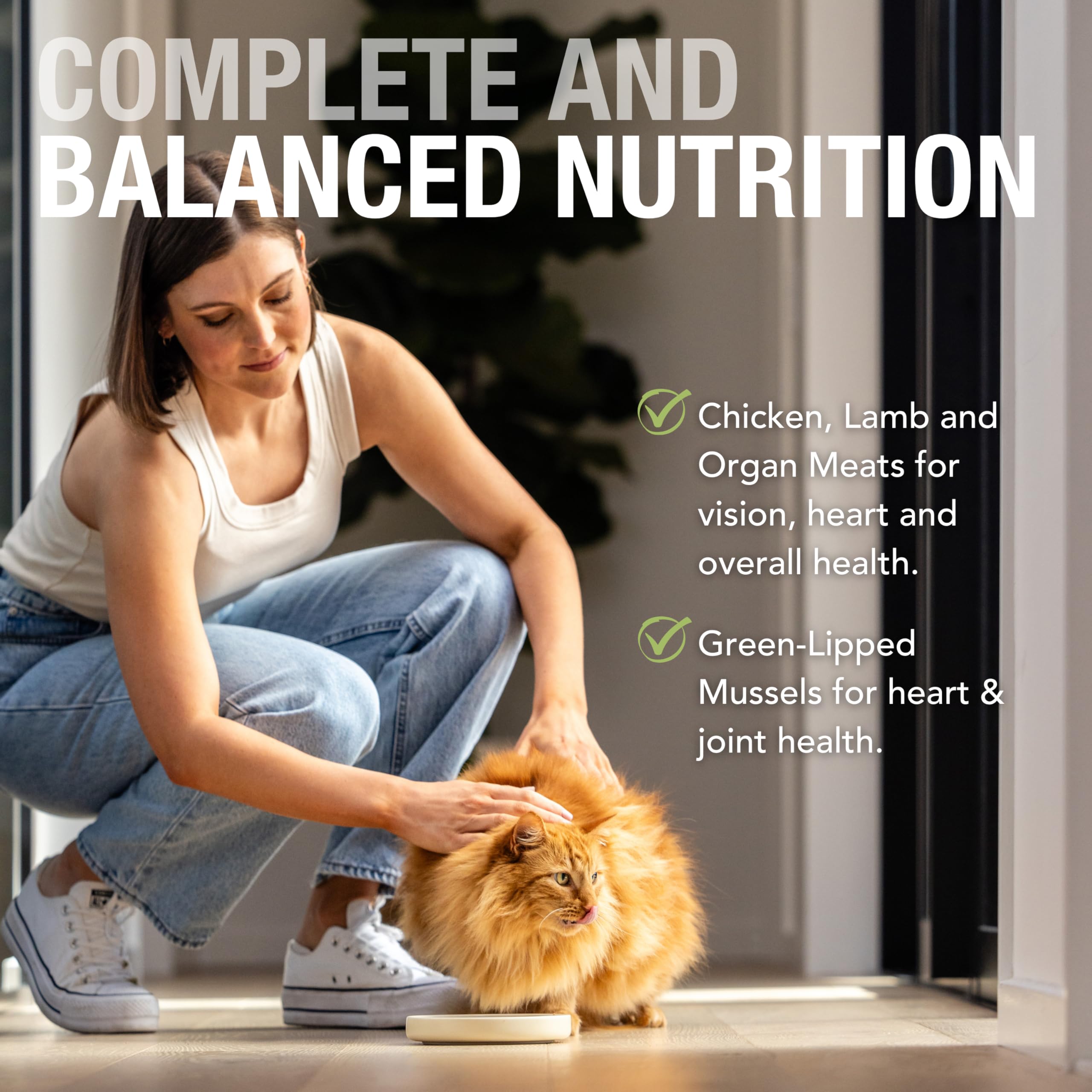 Feline Natural Grain-Free Wet Cat Food Pate - Chicken & Lamb Feast in 3oz Single Serve Pouches (Pack of 12) | Made in New Zealand with Cage-Free Chicken & Grass-Fed Lamb | Perfect for Adult Cats & Kittens at Mealtime or as a Tasty Topper