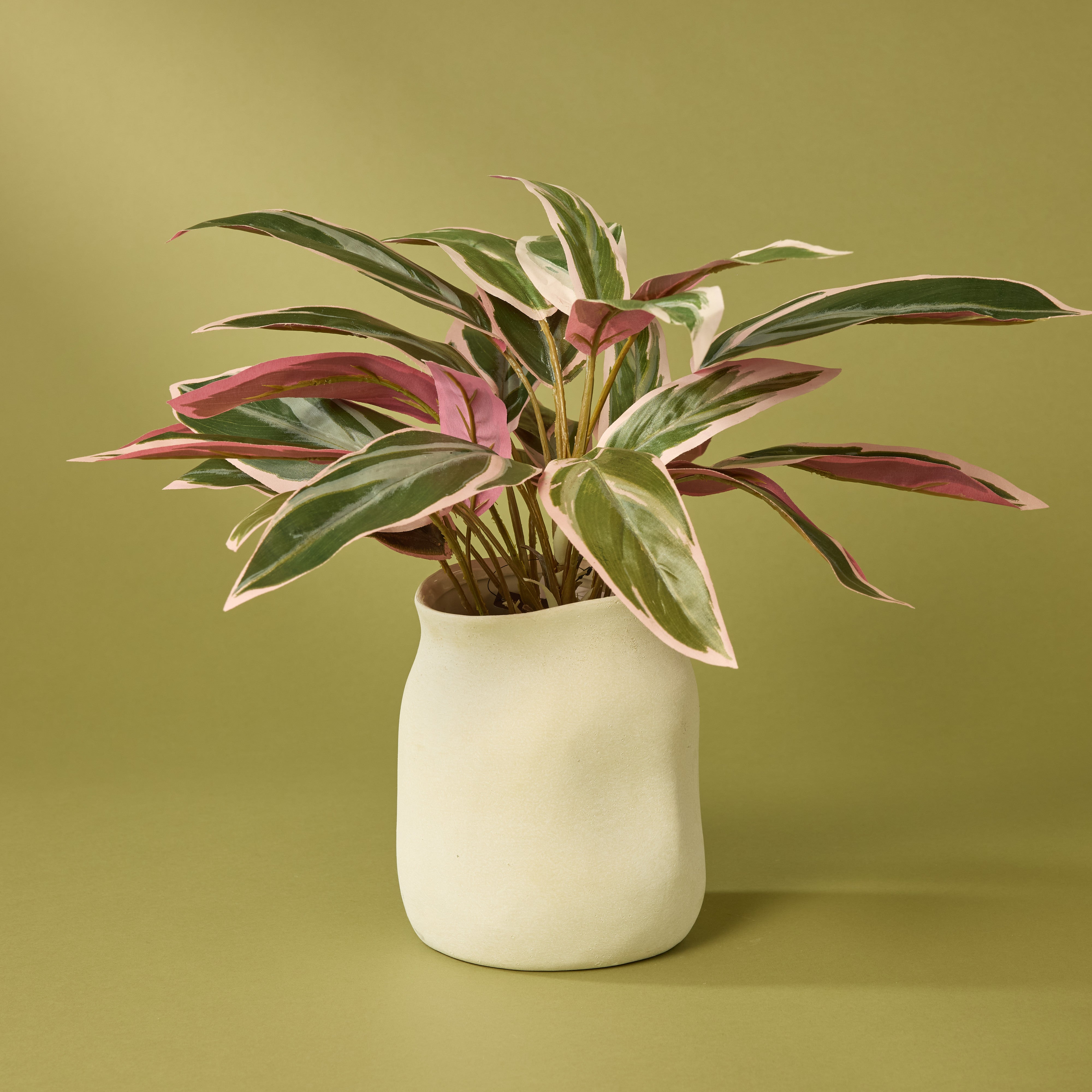 Artificial Cordyline Plant in Maliah Pot - 39cm Cream Faux Tropical Decor for Home, Office & Indoor Greenery