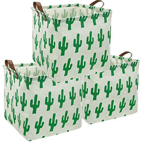 3pack Cactus