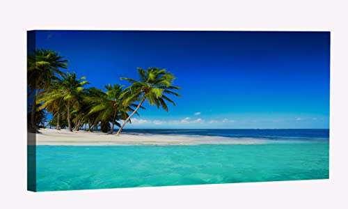 Beach Tree