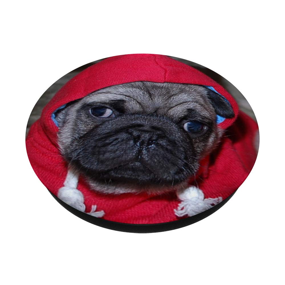 Adorable Pug Puppy for Sale - Cute & Playful Pug Dog for Families, Pet Lovers & Home Companions | Perfect for Gifts, Playtime & Emotional Support