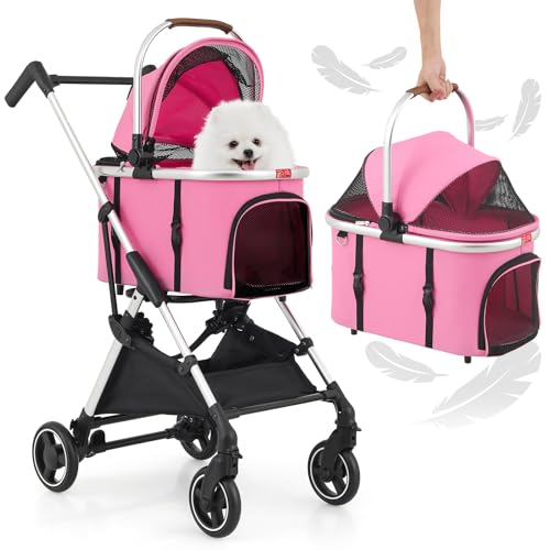 Pink, Silver Frame