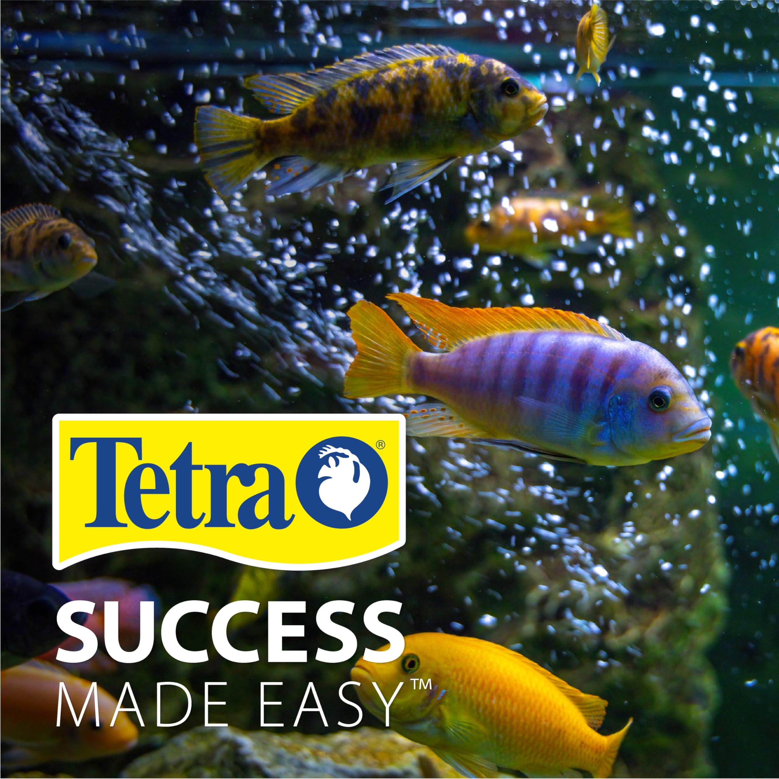 Tetra Complete LED Aquarium Kit 29 Gallon with LED Lighting, Filtration System, Heater & Accessories - Perfect for Home, Office or Classroom Fish Tank Setup