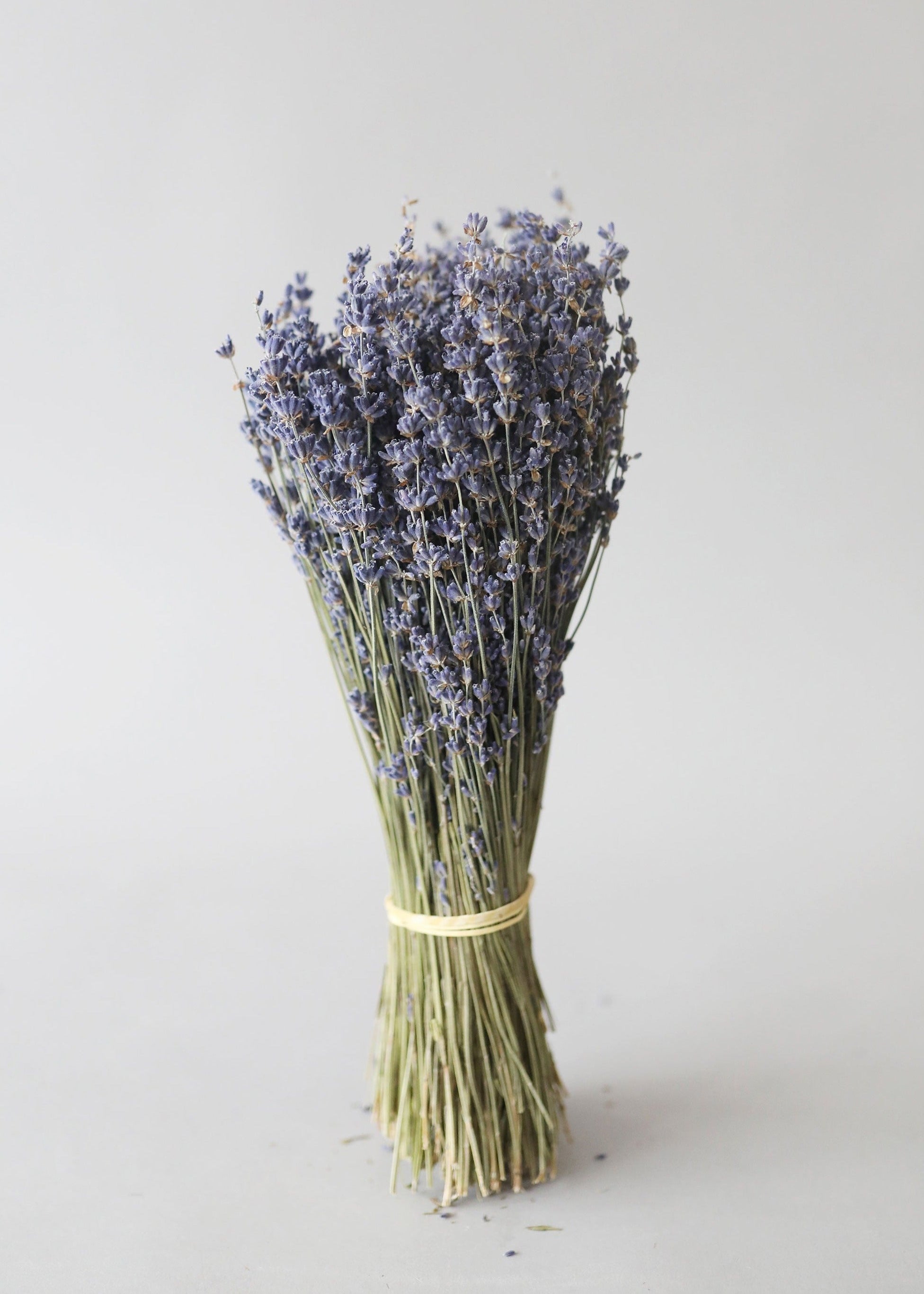 Natural Fragrant Dried Lavender Bundle - 6 or 14 Stems | Aromatherapy, Home Decor & DIY Crafts | Perfect for Relaxation, Wedding Decor & Gift Giving