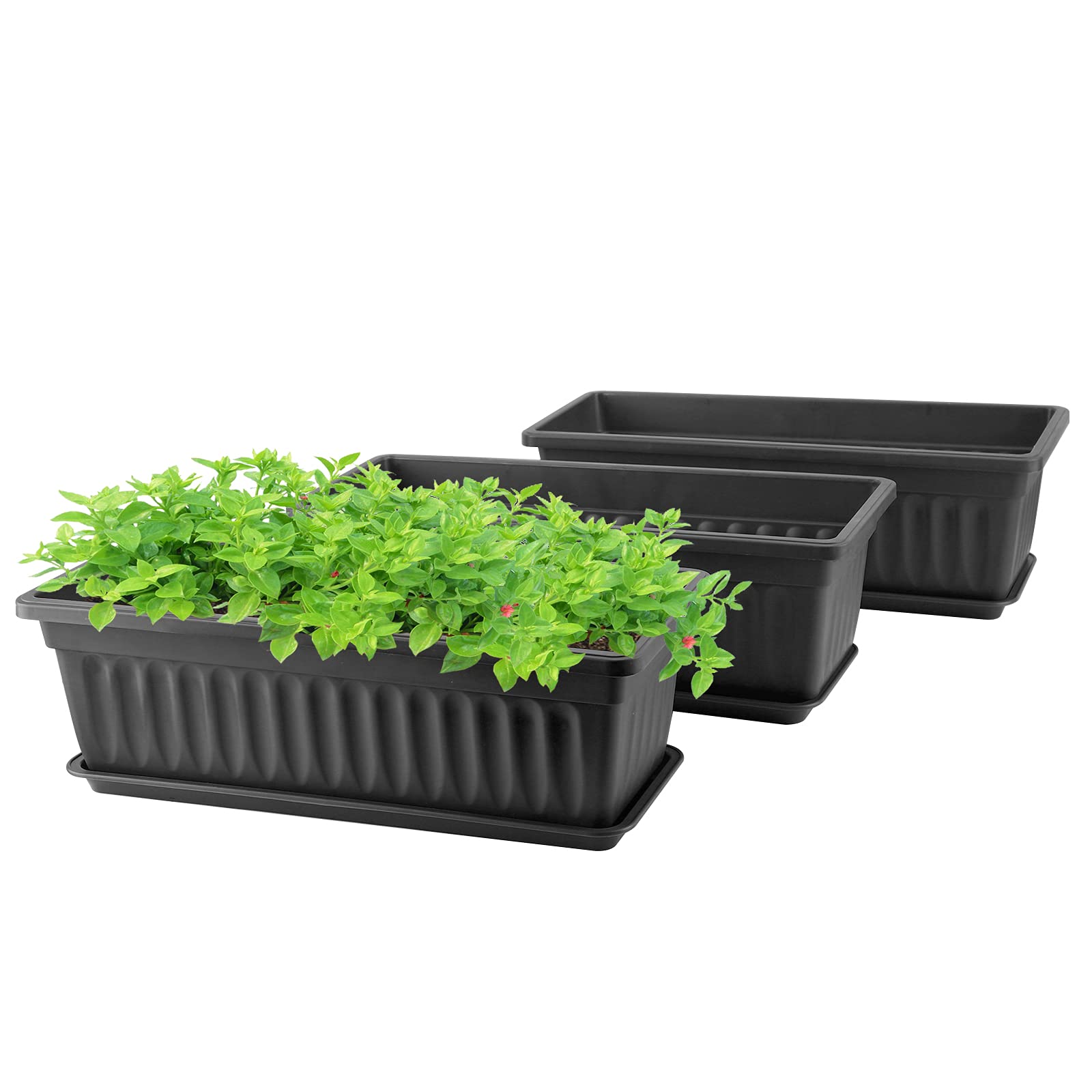 GREANER 3 Pack Rectangle Planters for Indoor Outdoor Plants - 16.9x7.48 Inch Plastic Flower Boxes with Drainage Tray, Vegetable Herb Growing Pots for Garden, Balcony, Windowsill - Black (Perfect for Home Decor, Urban Gardening & DIY Planting Projects)