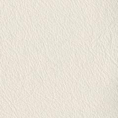 White Leather