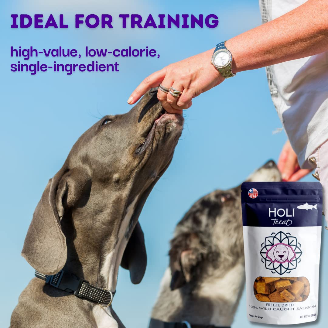 Premium Freeze Dried Salmon Dog Treats with Omega 3 & 6 Fish Oil | All Natural, Human-Grade, Wild Caught Skin-On Salmon | Grain Free, Diabetic Friendly | Made in USA | Perfect for Training Rewards & Senior Dogs