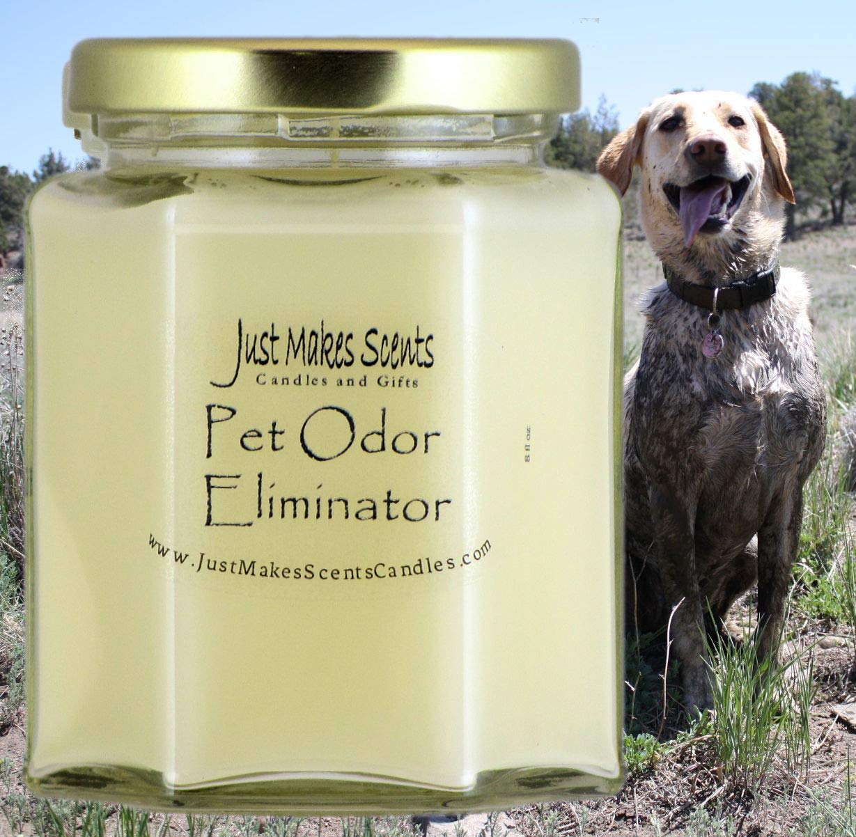 Natural Soy Wax Pet Odor Eliminator Candle | Hand-Poured in USA | Neutralizes Cigarette, Food & Pet Odors | Home Fragrance Candle for Living Room, Bathroom & Bedroom
