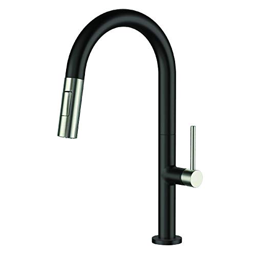 Black/Satin Nickel