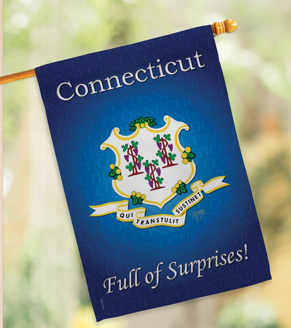Connecticut Americana House Flag Set 28x40