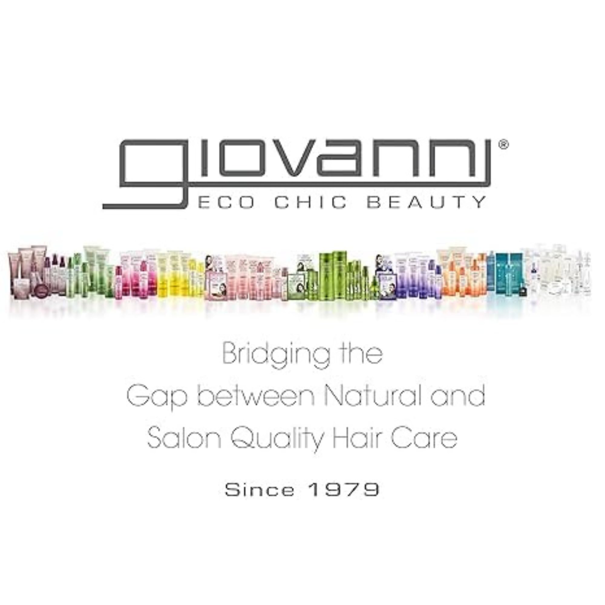 GIOVANNI ECO CHIC Frizz Be Gone Smoothing Anti-Frizz Hair Serum - Natural Botanical Infused, Adds Shine & Protects Hair Color, Paraben-Free Salon Quality Treatment (2.75 fl oz) - Perfect for Dry, Frizzy Hair & Color-Treated Locks at Home or Salon