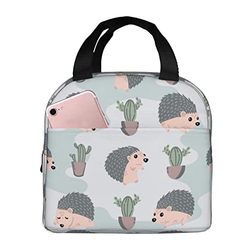 Cute Hedgehog And Cactus