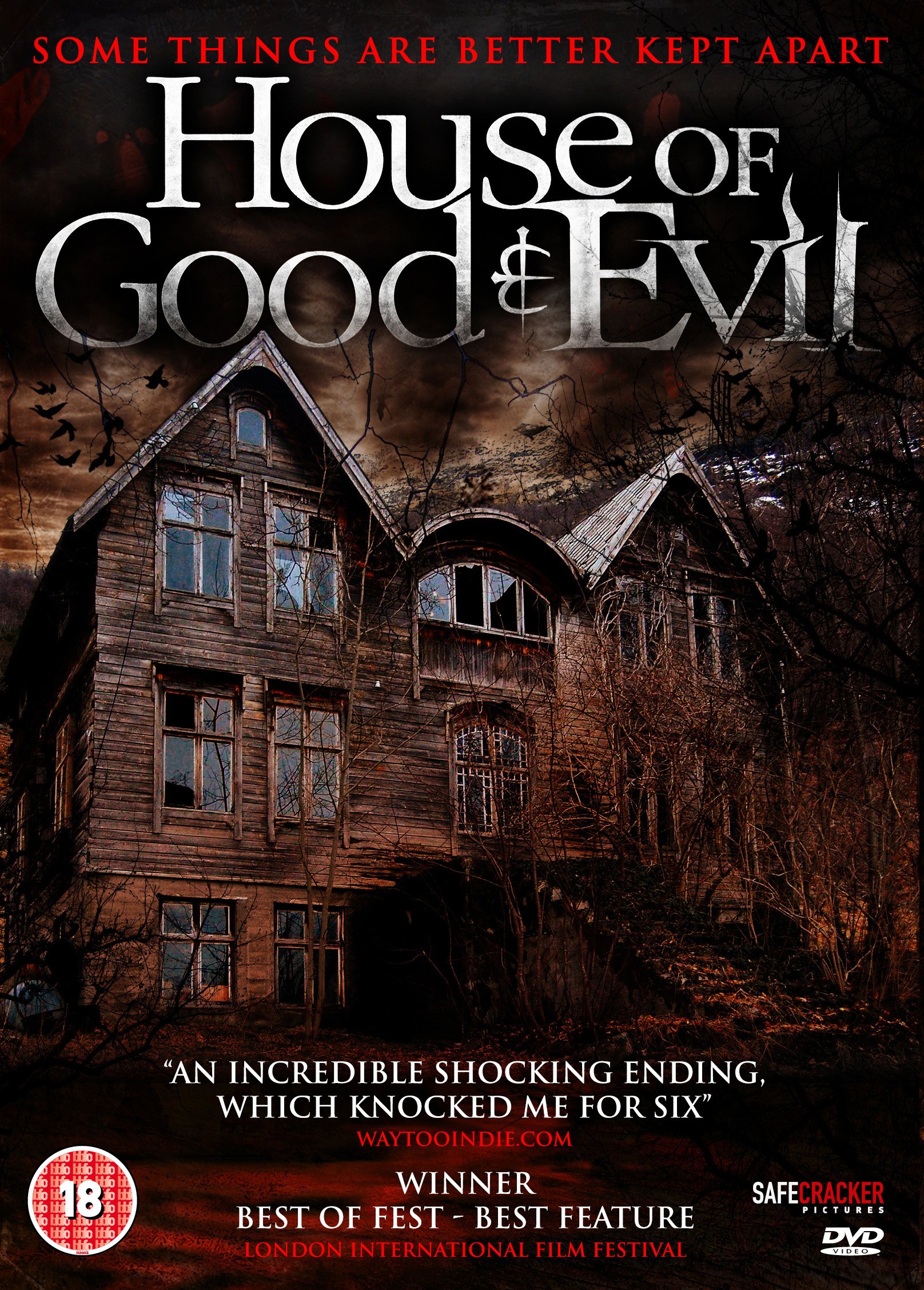 House Of Good & Evil DVD - Thriller Horror Movie | Perfect for Movie Nights & Halloween Parties