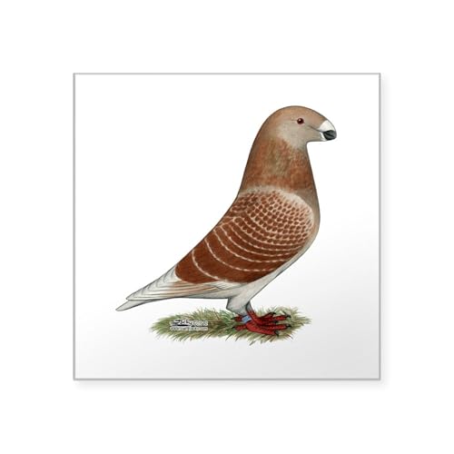 Clear - Show Racer Red Check Pigeon Square Sticker 3 X 3