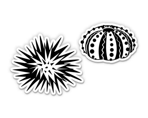 Cute Sea Urchin Vinyl Stickers - Waterproof Decals for Laptops, Water Bottles & DIY Crafts - Perfect for Scrapbooking, Journaling & Home Decor