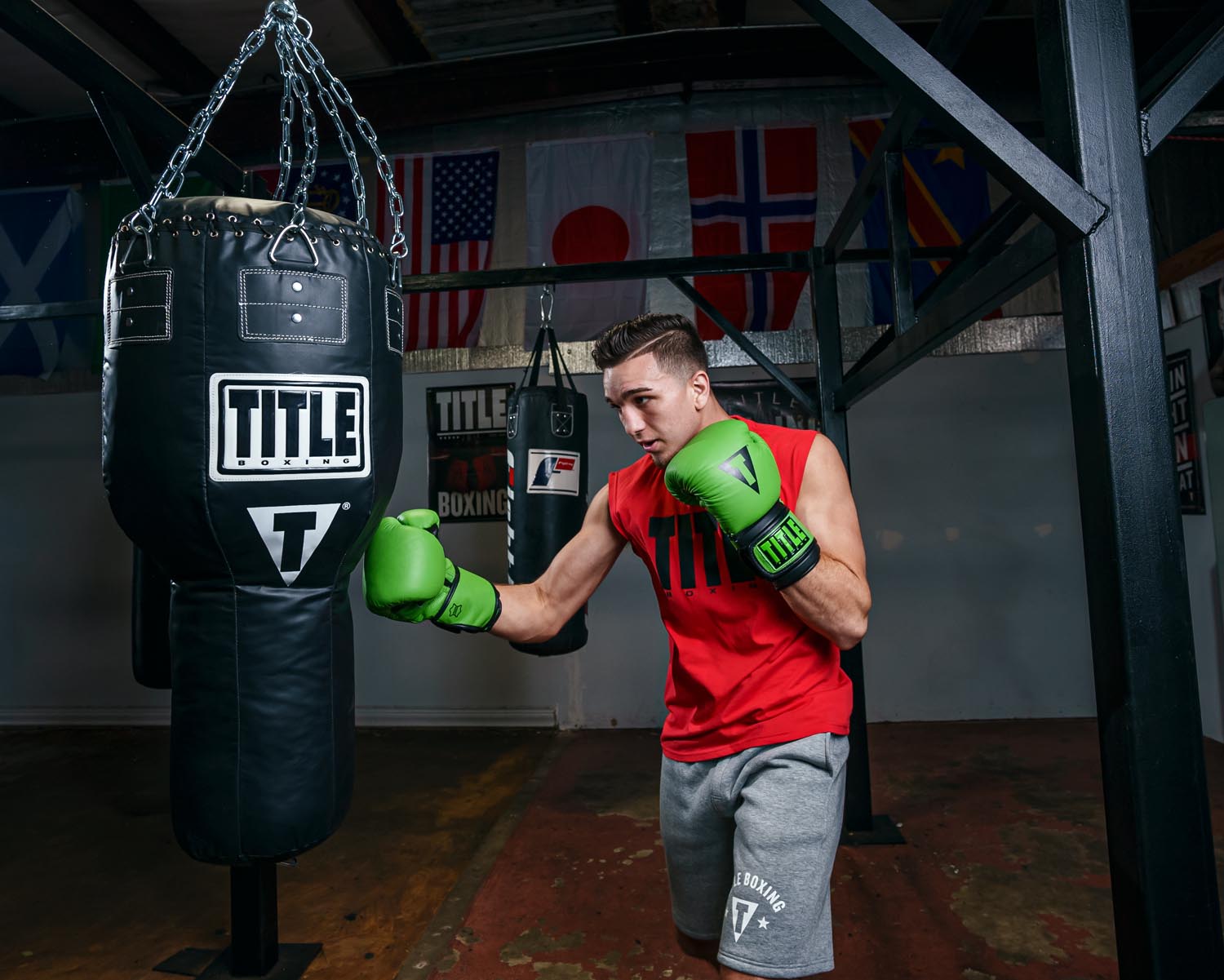 TITLE Boxing Dauntless Training Boxing Gloves for Men & Women - Premium MMA, Kickboxing, and Heavy Bag Workouts - Ideal for Gym, Home Training, and Fitness Enthusiasts