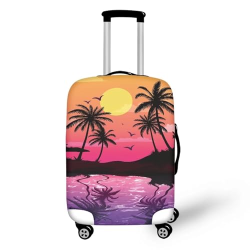 C Sunset Tropical Palm Tree