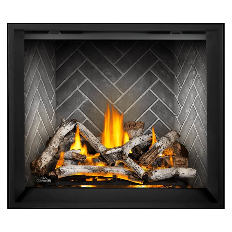 Napoleon Elevation X 42 Inch Direct Vent Gas Fireplace - EX42 | Indoor Heating for Living Rooms & Bedrooms | Modern Home Decor