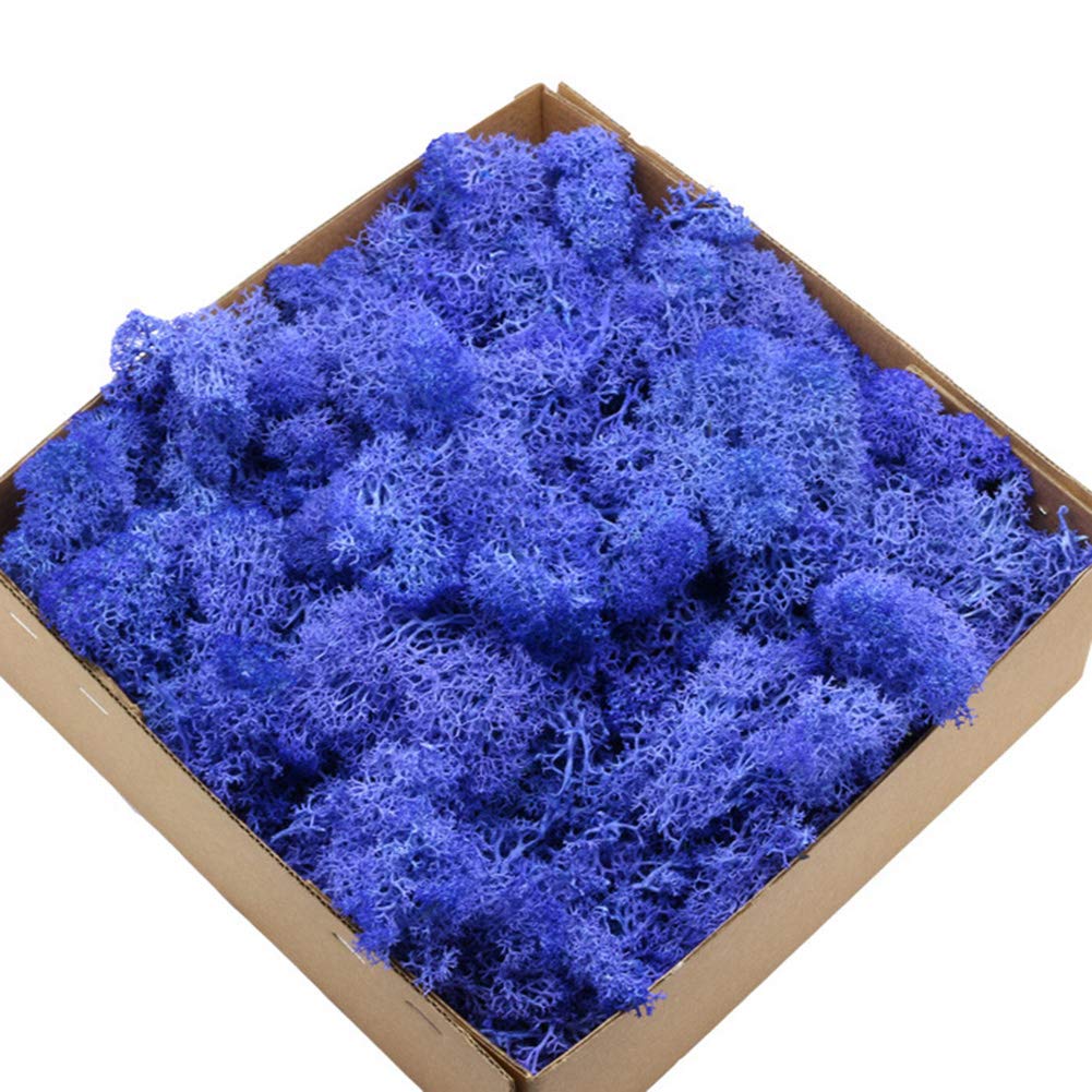 EOESTLD DIY Craft Decorations - 1 Box Eternal Life Dried Moss for Mini Landscape, Flower Arrangements, Wedding & Christmas Decor (Sapphire Green) | Perfect for Home Decor, Terrariums, Fairy Gardens, and Party Centerpieces