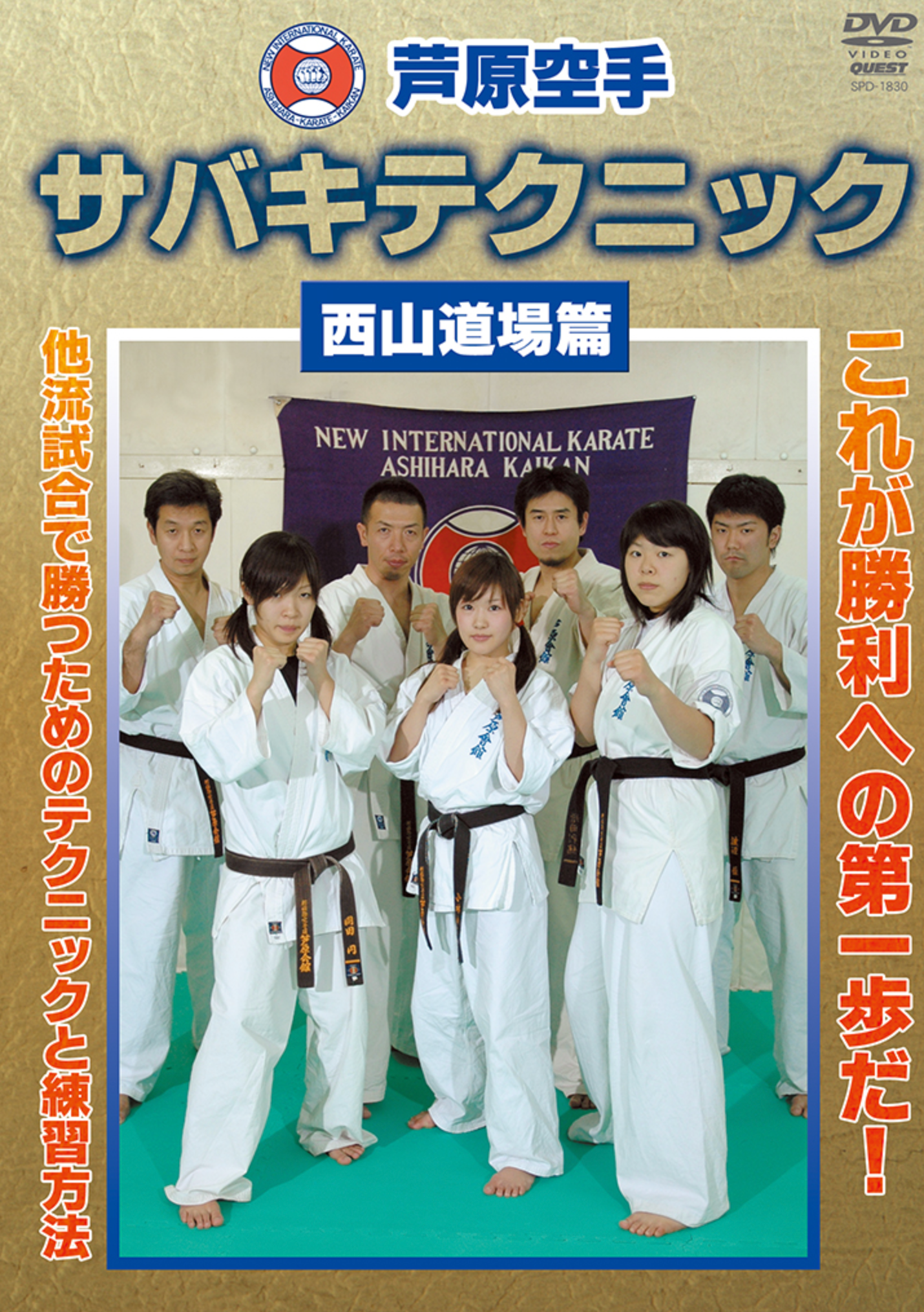 Ashihara Kaikan Sabaki Technique DVD by Toru Nishiyama - Learn Authentic Karate Self-Defense Moves for Home Training & Martial Arts Practice