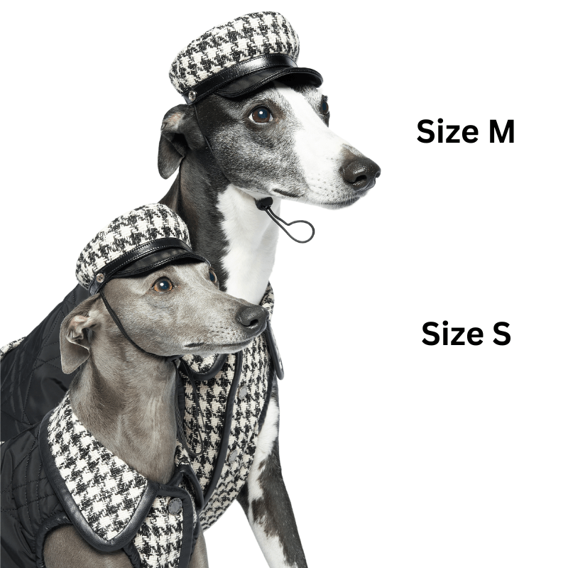 Stylish SOHO Dog Hat - Trendy Pet Accessory for Small & Medium Dogs - Perfect for Outdoor Walks, Photo Shoots & Fashion Events