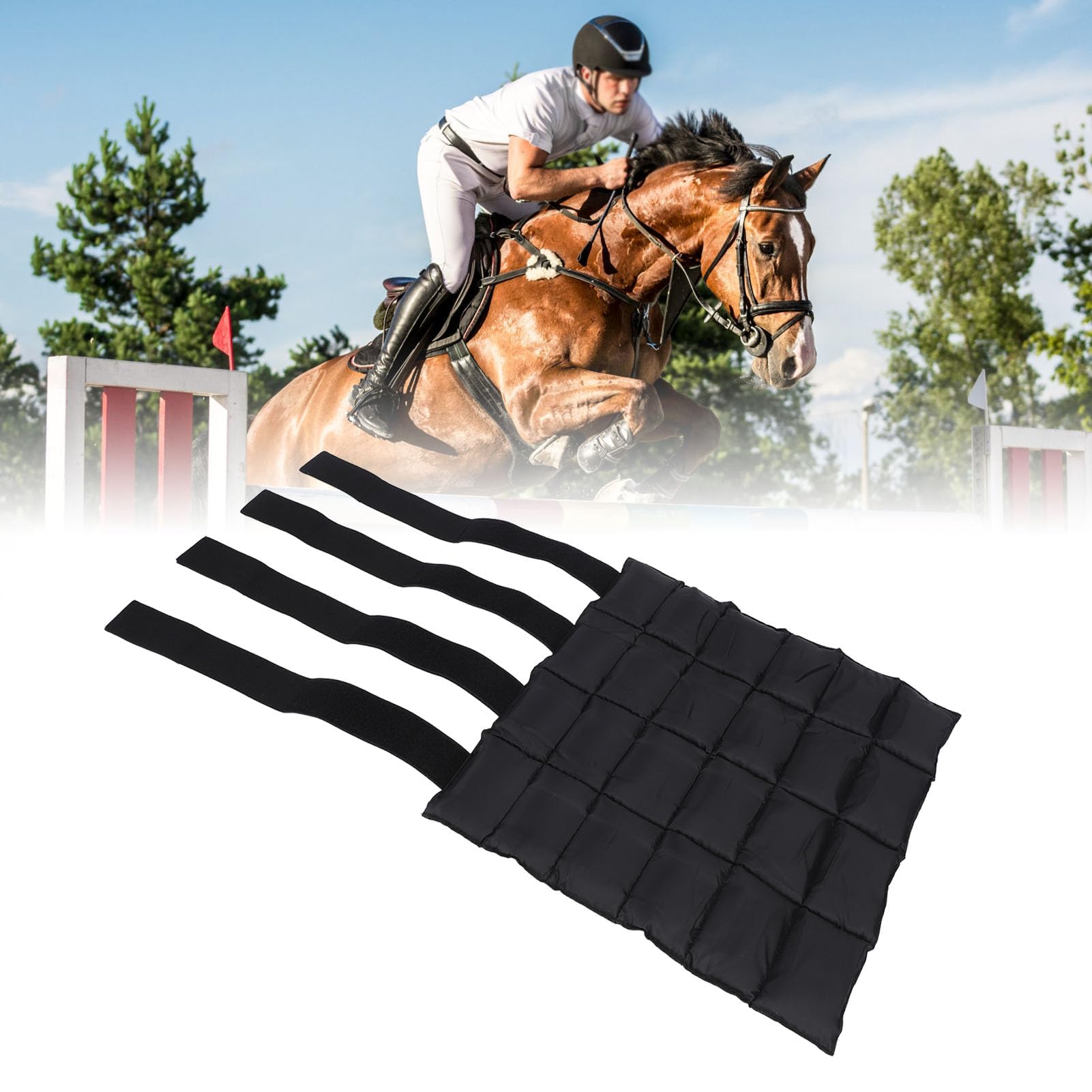 Reusable Horse Ice Pack & Cooling Leg Wrap for Hock, Ankle, Knee - Black | Pain Relief & Recovery for Equine Leg Injuries | Perfect for Post-Training, Competition & Injury Rehabilitation