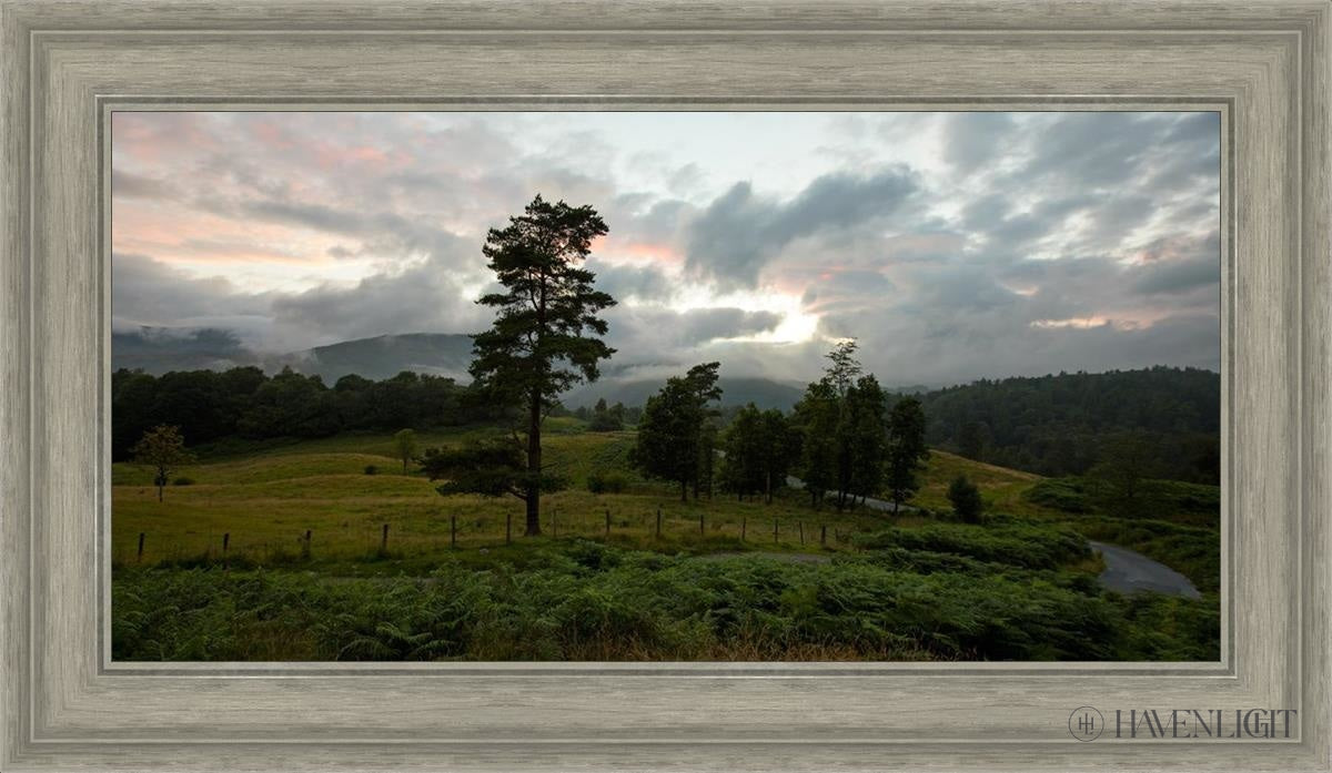 Plate 3 Tarn Hows Above Ambleside - Premium Decorative Wall Plate for Home & Office Decor | Perfect for Living Room, Dining Room, or Gift Giving