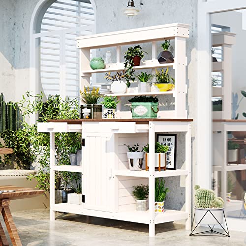 White/Outdoor#