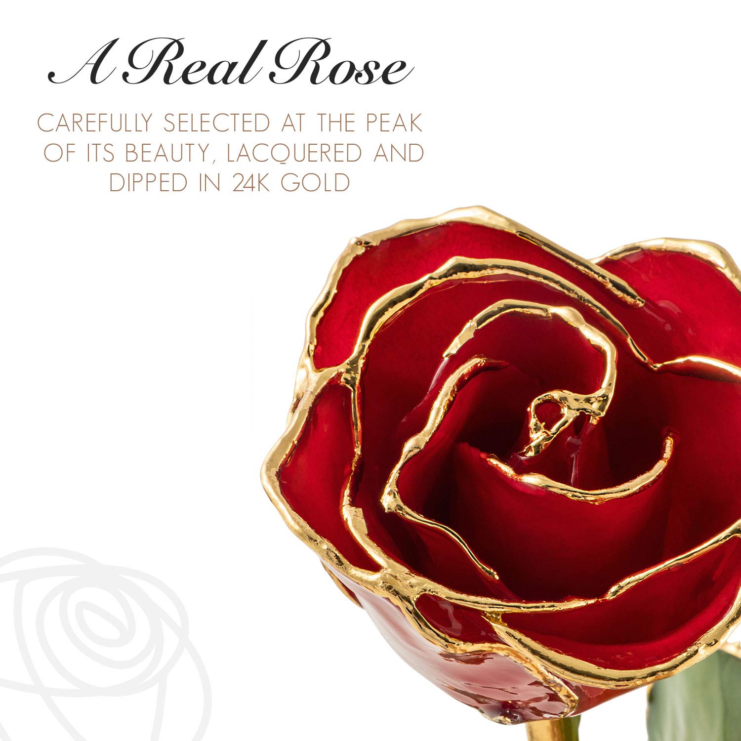 24K Gold Dipped Real Forever Rose - Genuine Handcrafted Luxury Gift for Women & Men | Anniversary, Valentine's Day, Wedding & Romantic Occasions