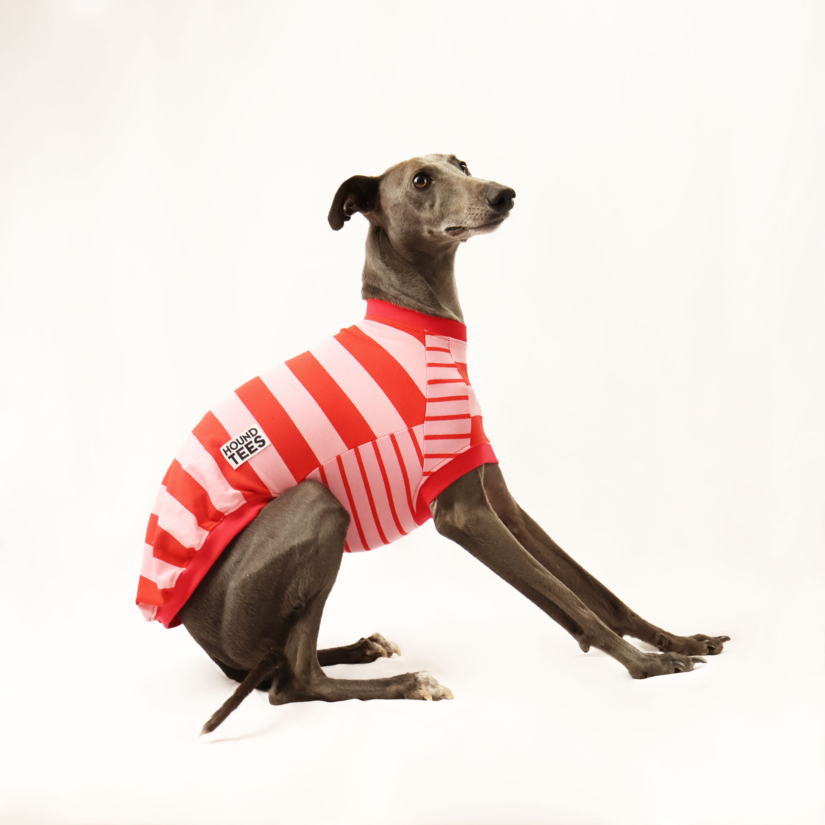 Love Candy Whippet Sleeveless Hound T-Shirt - Trendy Dog Lover Apparel for Casual Wear & Outdoor Activities