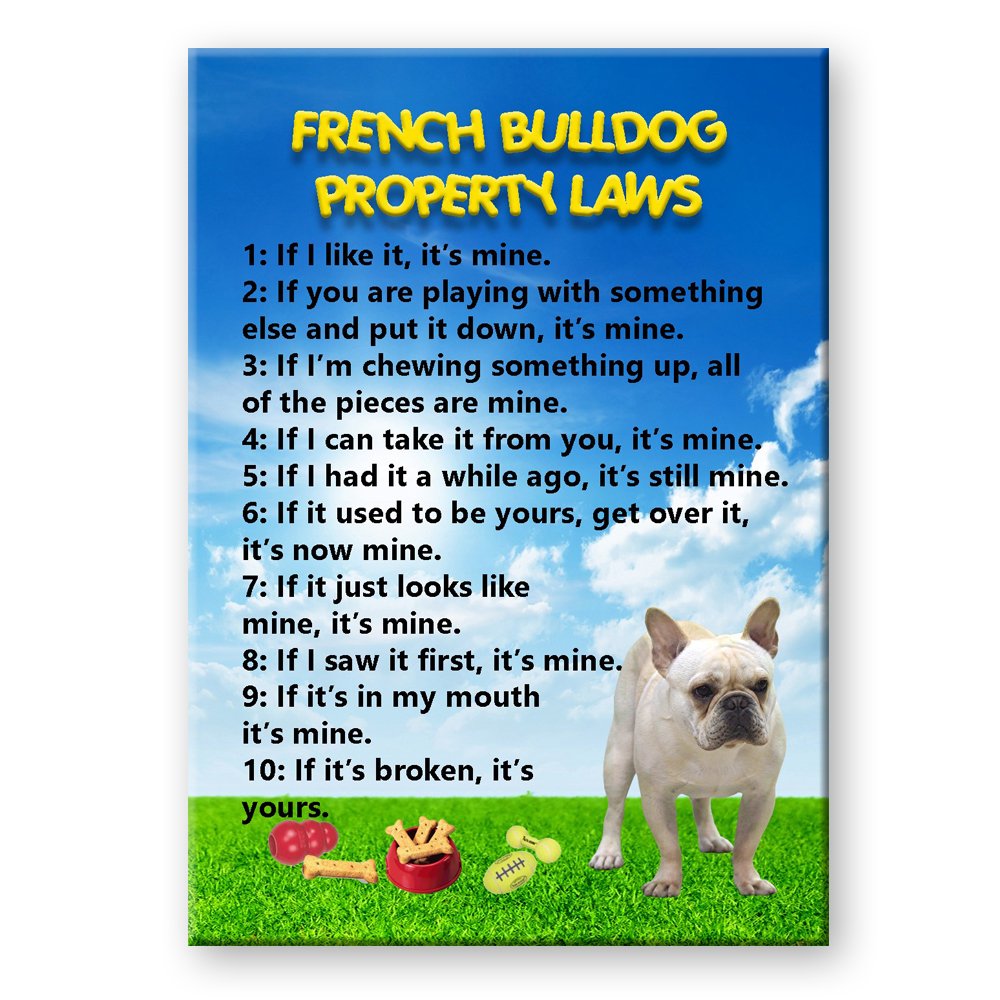 Funny French Bulldog Property Laws Fridge Magnet - No.1 Cute Dog Lover Gift for Home, Office & Kitchen Decor