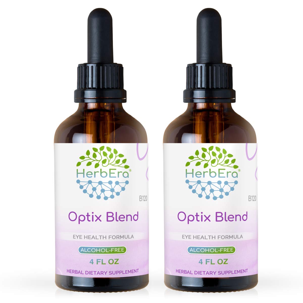 Optix Blend B120 Alcohol-Free Extract Tincture (2-Pack) - Bilberry, Ginkgo Biloba, Goji Berry, Schisandra & Turmeric for Eye Health - 2 x 4 Fl Oz - Supports Vision Clarity & Eye Strain Relief for Digital Screen Users