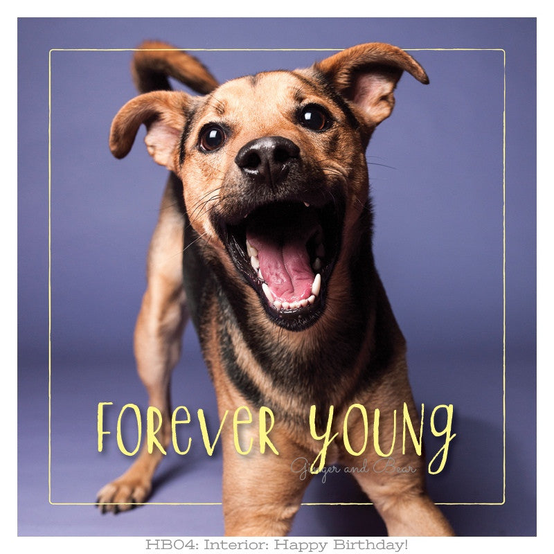 Happy Birthday Card - Rudy's Forever Young Birthday Greeting Card for Friends & Family - Perfect for Birthdays, Anniversaries & Celebrations
