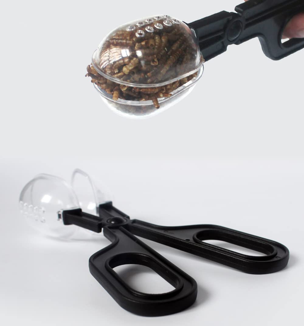 Stainless Steel Reptile Feeding Tongs - Long Handle Feeding Tool for Hedgehogs, Hamsters, Guinea Pigs, Rats & Lizards | Small Animal Care Supplies | Perfect for Feeding & Cage Cleaning