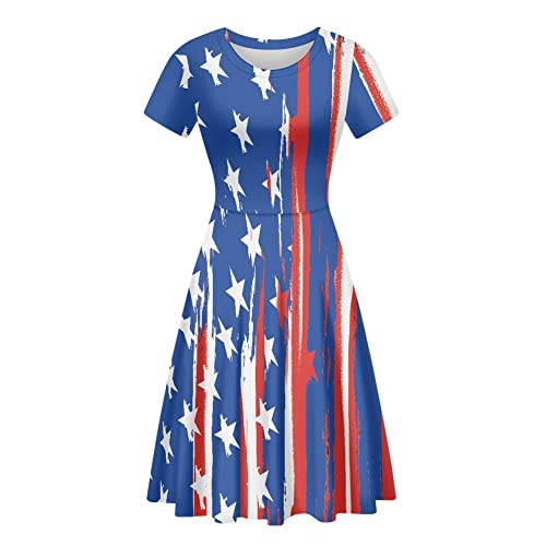 Usa Flag 6
