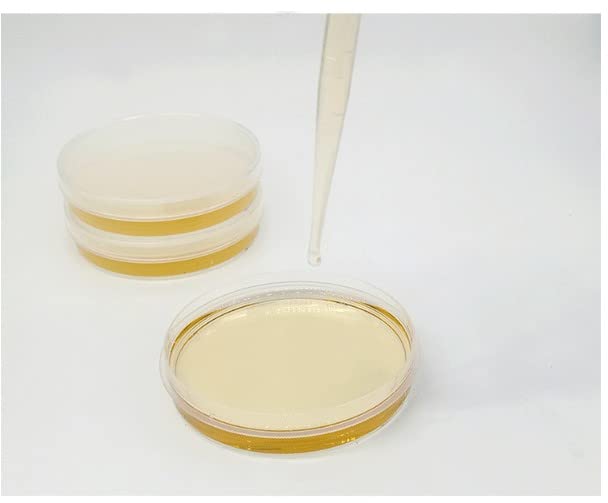 Othmro 10Pcs Plastic Petri Dishes with Lid, 4.72x0.79inch Lab Petri Dishes for Cell Culture, Science Experiments, Biological Research & School Projects - Perfect for Microbiology Studies, Classroom Labs & STEM Activities