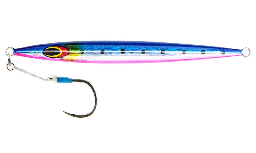 Sardine