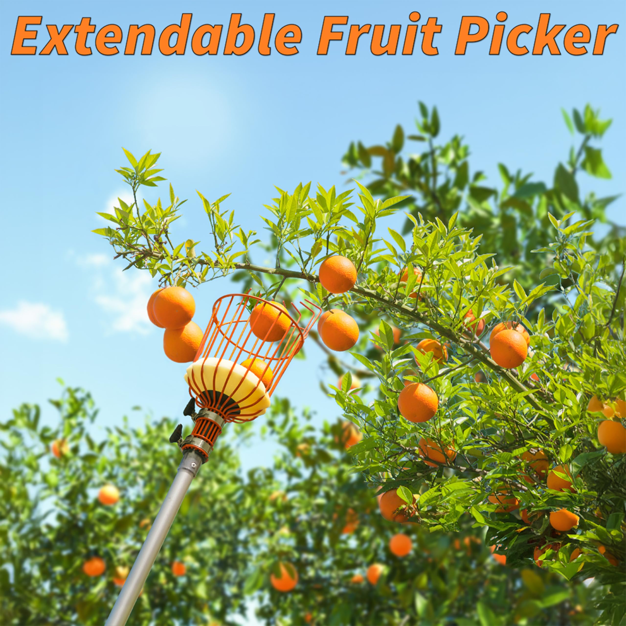 Telescopic Fruit Picker Pole with Basket - Extends 7 to 30 ft for High-Reach Harvesting | Apple, Orange, Mango, Avocado, Lemon & Pear Picking Tool | Perfect for Home Orchards, Backyard Gardening & Commercial Use