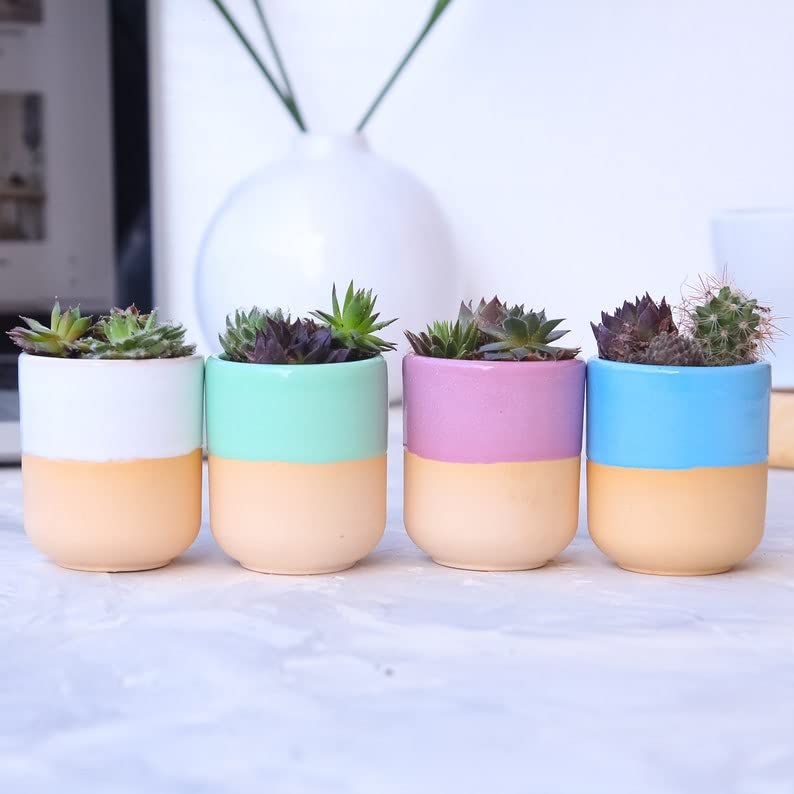 Set of 6 Mini Succulent Planters with Drainage - Small Ceramic Flower Pots for Indoor Plants, Cactus, Herbs - Perfect for Home, Office, Kitchen Decor & Housewarming Gifts