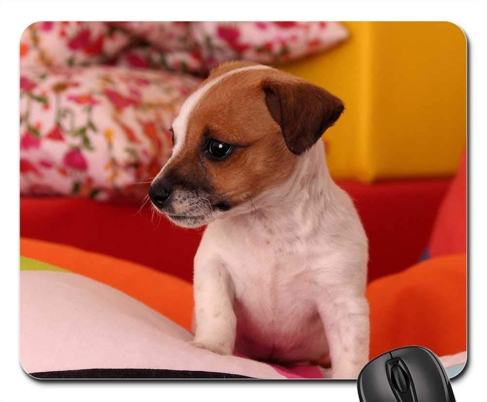 Premium Gaming Mouse Pad with Cute Dog Design - Jack Russell & Chihuahua Puppy Theme for PC Gamers | Non-Slip Rubber Base, Smooth Surface for Enhanced Gaming Performance | Perfect Gift for Pet Lovers & Gamers
