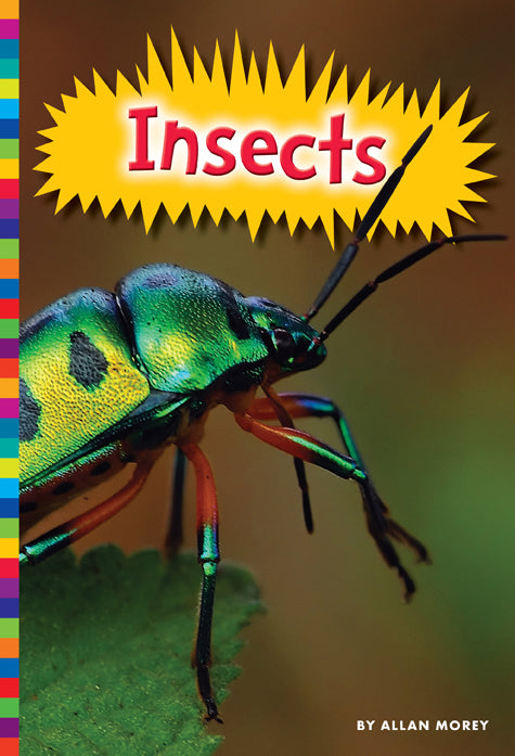 Live Insects for Sale - Feeder Crickets, Mealworms & Dubia Roaches | Perfect for Reptile Food, Bird Treats & Fishing Bait