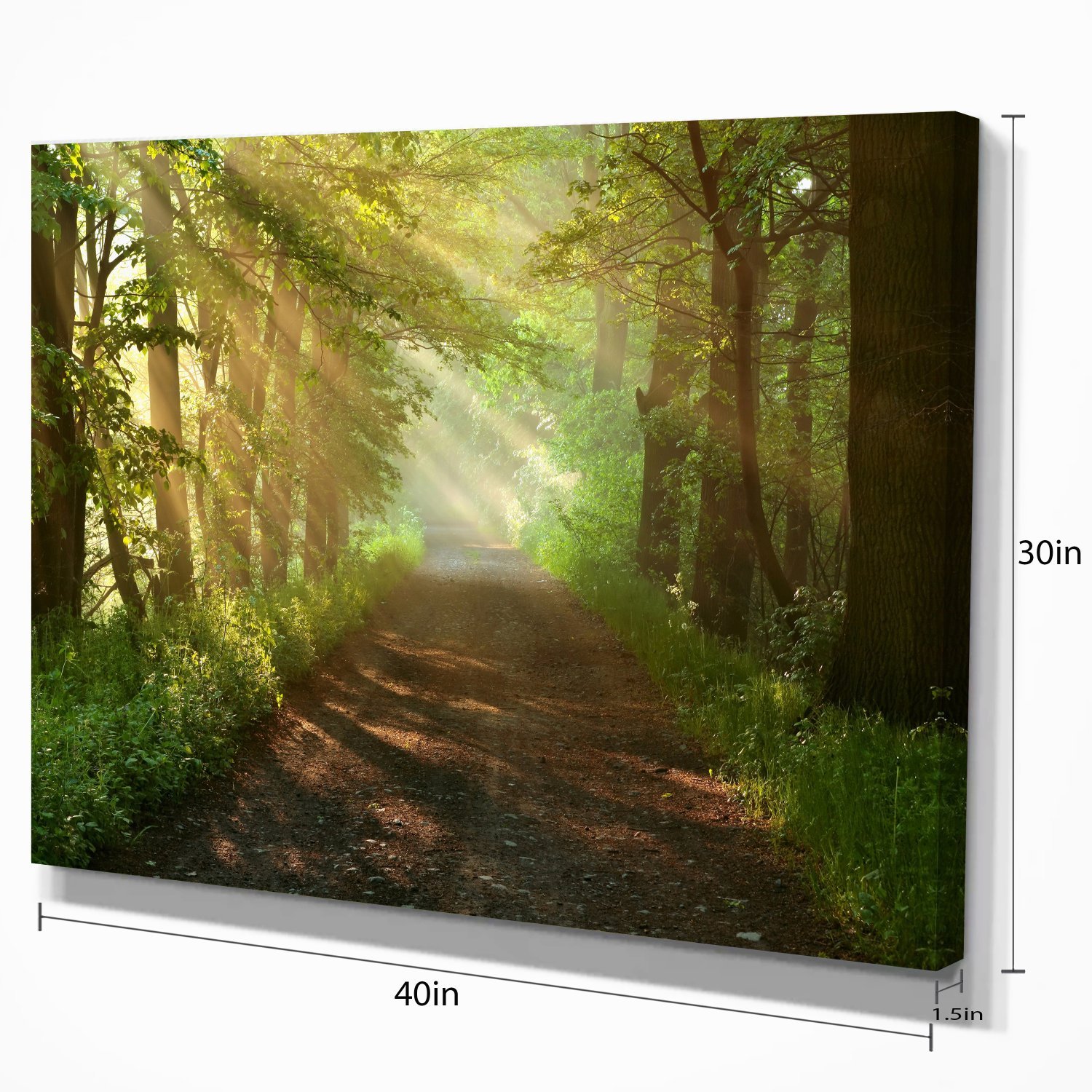Sunlight Peeking Through Forest Trees - Nature Landscape Photography Canvas Print Wall Art for Living Room, Bedroom & Office Decor