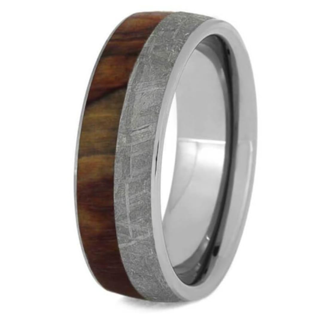 Unisex Titanium Wedding Band - 8mm Comfort-Fit Ring with Gibeon Meteorite & Petrified Wood Inlay - Perfect for Men's Jewelry, Unique Gifts & Alternative Engagement Rings