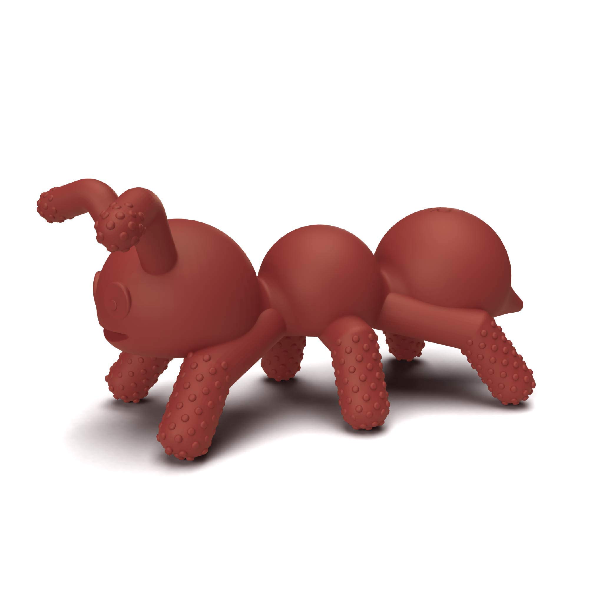 Doddle & Co. The Chew Ant Teether with Poppable Bubbles - Soothing Teething Toy for Babies & Toddlers | Soft Silicone Sensory Fidget Toy for Oral Development | Easy to Hold & Grab | Perfect Baby Shower Gift for Newborns (Pack of 1) | Use for Teething Relief, Sensory Play & Early Learning