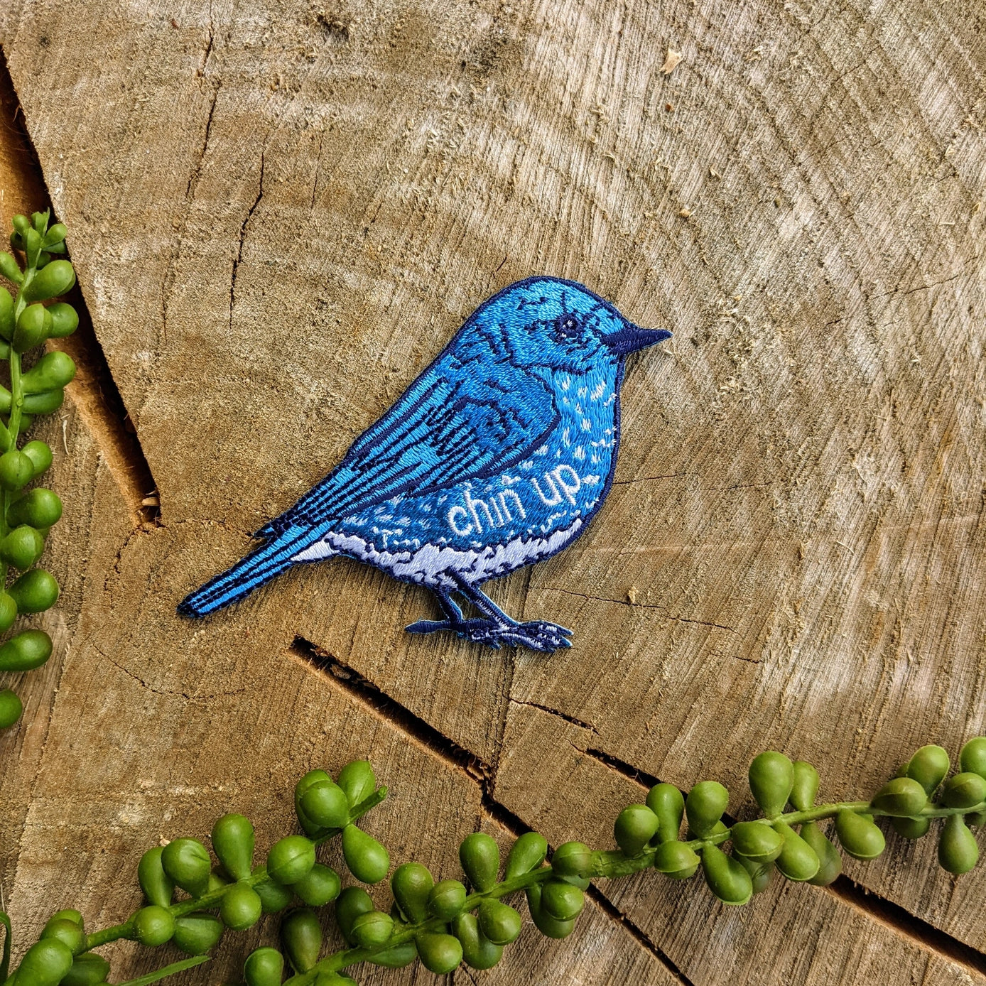 Bluebird Embroidered Chin Up Patch - Motivational Iron-On Patch for Jackets, Hats & Backpacks - Perfect for Fitness Enthusiasts & Outdoor Adventures