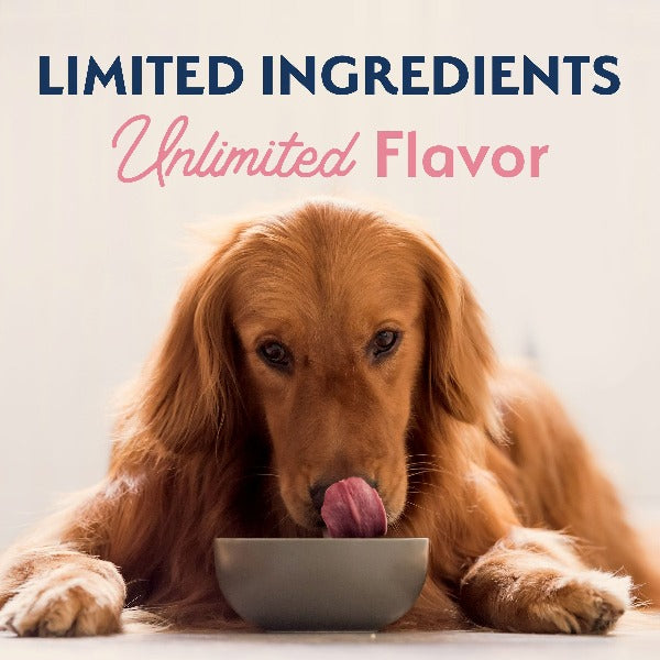 Natural Balance Limited Ingredient Salmon & Brown Rice Recipe Dry Dog Food for Sensitive Stomachs - 24lb Bag - Grain-Free, Hypoallergenic Dog Food for Allergies & Digestive Health - Perfect for Adult Dogs with Food Sensitivities