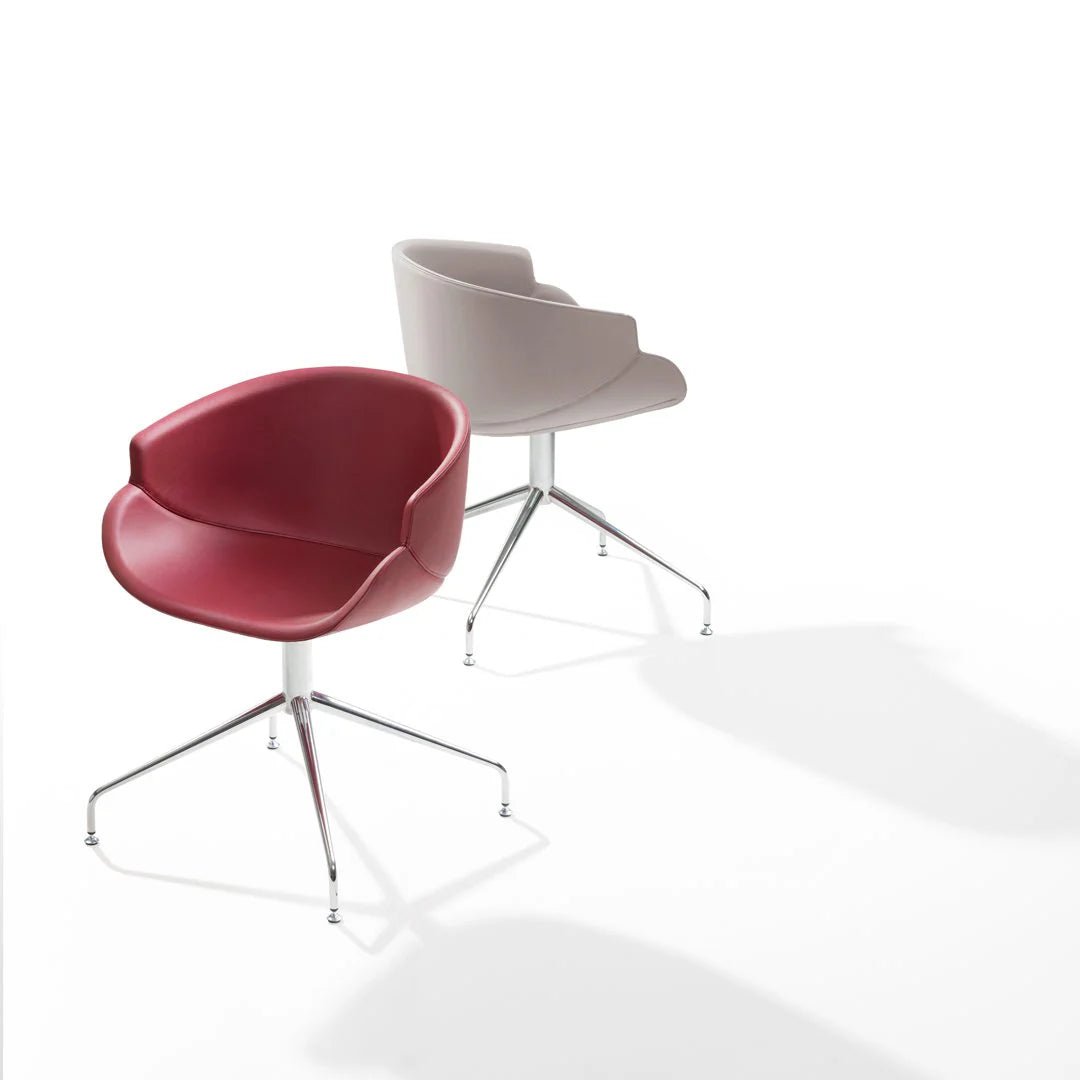 B Line Bix Dining Chair with Spoke Base - Modern Kitchen & Dining Room Furniture for Home & Restaurant Use