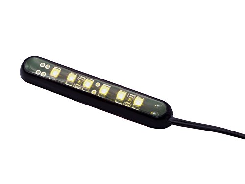 Warm White LED