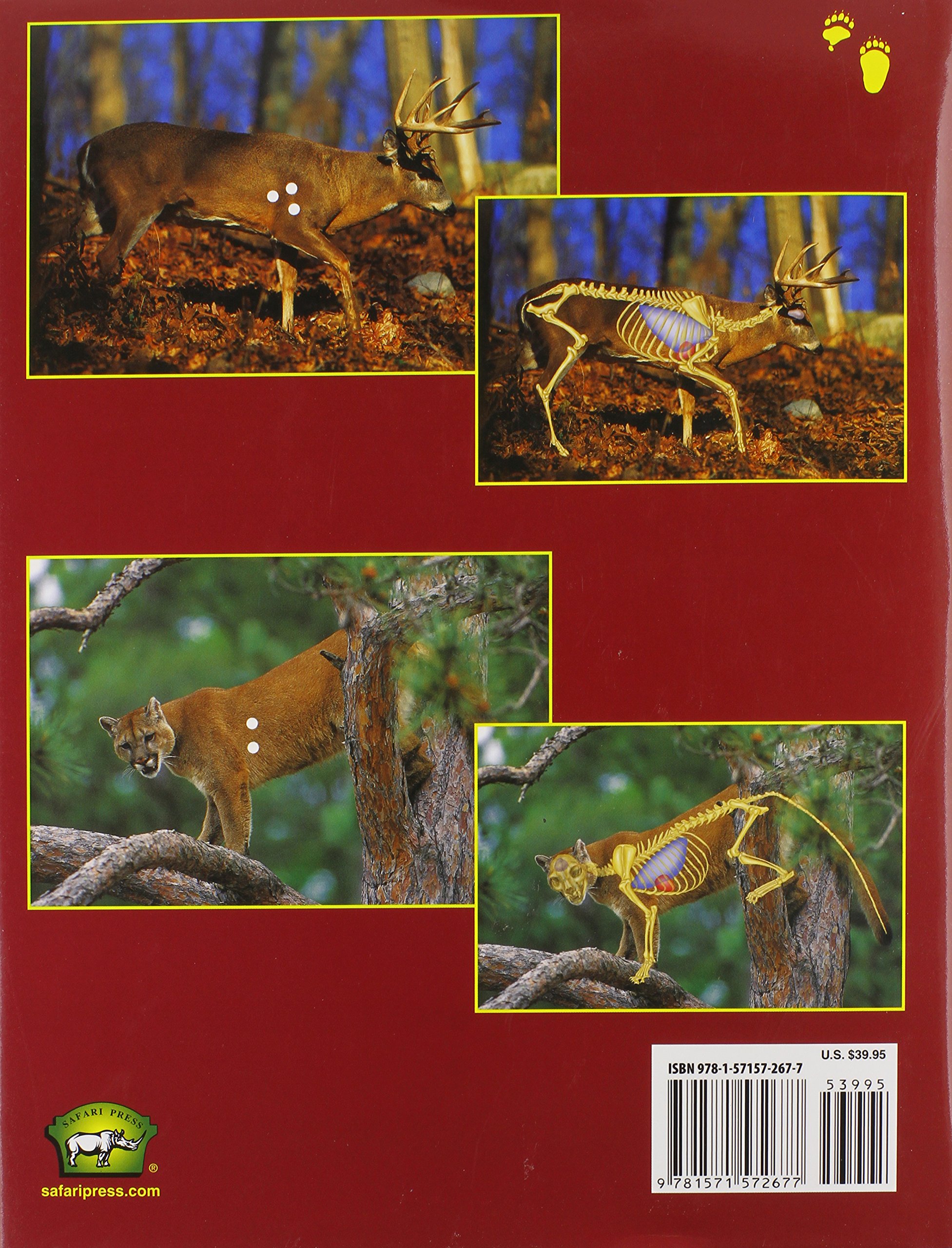 Best Shot Placement Guide for North American Big Game Hunting | Expert Tips & Techniques for Deer, Elk & Bear | Perfect for Hunters & Outdoorsmen