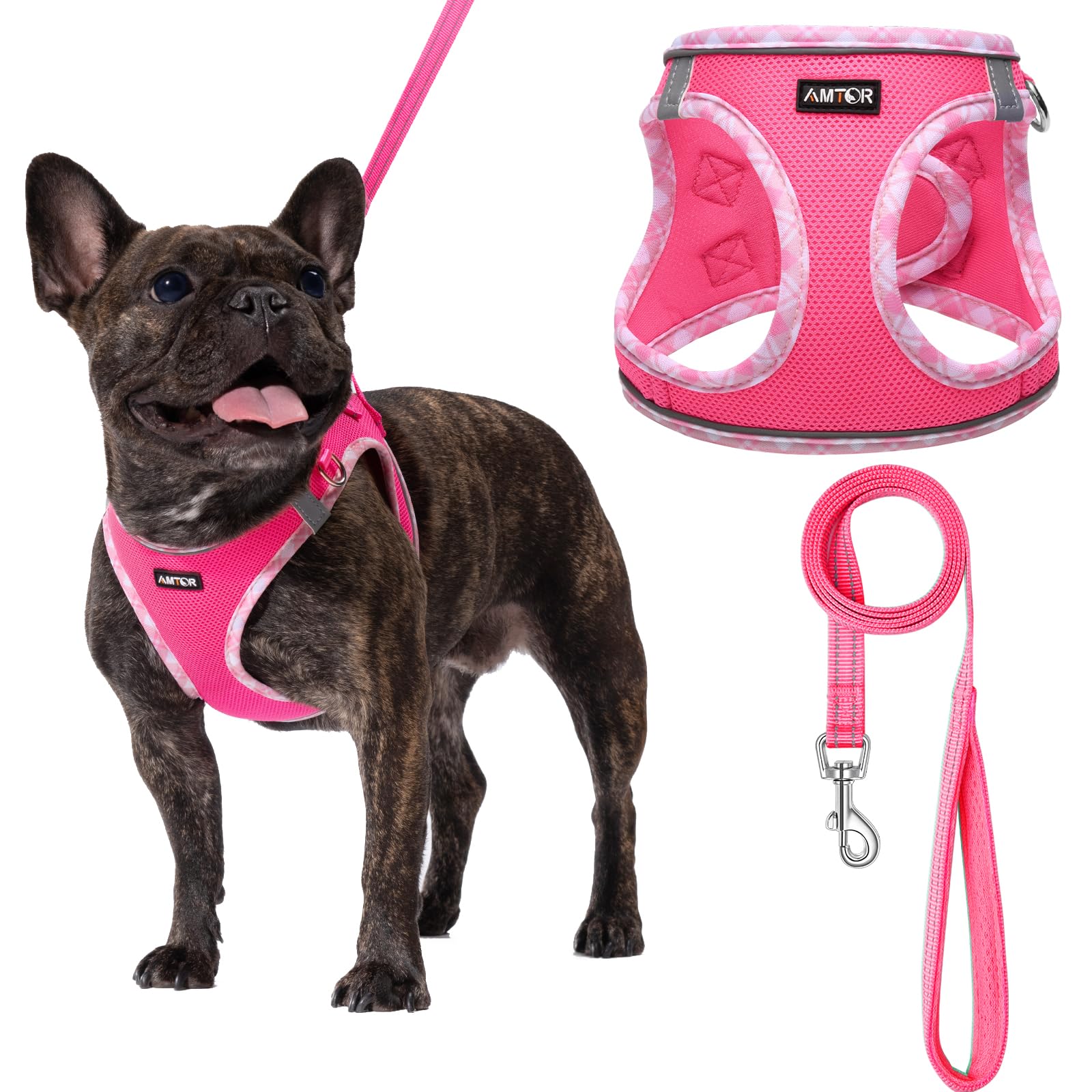 AMTOR No Escape Small Dog Harness with Leash Set - Easy Walk Step-in Reflective Puppy Vest for Training & Walking - XS/S/M/L Sizes (Fuchsia, Medium) | Perfect for Outdoor Adventures & Nighttime Safety